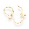 304 Stainless Steel Leverback Earrings Findings X-STAS-F188-10G-2