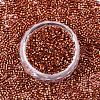 FGB 11/0 Grade A Glass Seed Beads X-SEED-S030-1210-3