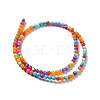 Dyed Natural Freshwater Shell Beads Strands X-SHEL-G014-05C-04-2