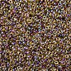 MIYUKI Round Rocailles Beads X-SEED-G007-RR0342-3