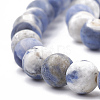 Natural Sodalite Beads Strands G-T106-213-2