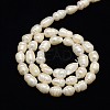 Natural Cultured Freshwater Pearl Beads Strands X-PEAR-L001-E-20-3