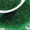 MIYUKI Round Rocailles Beads X-SEED-G009-RR0146-1