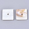 Natural Freshwater Shell Beads SHEL-S276-109A-01-2