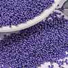 MIYUKI Round Rocailles Beads X-SEED-G009-RR0432-1