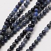 Natural Gemstone Sodalite Round Beads Strands G-A130-3mm-16-1