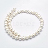 Natural Cultured Freshwater Pearl Beads Strands PEAR-F007-02-01-2
