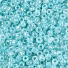 Glass Seed Beads SEED-A011-3mm-154-3