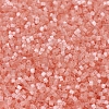 MIYUKI Delica Beads X-SEED-J020-DB0825-3