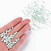6/0 Glass Seed Beads SEED-N005-002A-F02-5