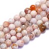 Natural Cherry Blossom Agate Beads Strands G-K310-C07-10mm-2