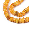 Natural Trochid Shell/Trochus Shell Beads Strands X-SHEL-S258-081-B10-3