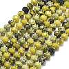 Natural Yellow Turquoise(Jasper) Beads Strands G-P573-A56-01-2