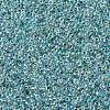 MIYUKI Round Rocailles Beads X-SEED-G007-RR0263-4