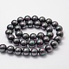 Shell Pearl Bead Strands BSHE-L025-05-8mm-2