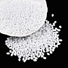 Baking Paint Glass Seed Beads SEED-T006-03A-3