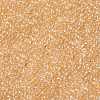 TOHO 11/0 Round Beads X-SEED-TR11-1816-2