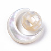 Natural White Shell Beads Set SSHEL-N032-51-B01-4