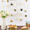 10Pcs Paper Star Congratuation Banners AJEW-CN0005-40B-4