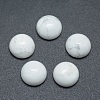 Natural Howlite Cabochons X-G-P393-R32-10mm-1