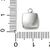 304 Stainless Steel Acrylic Pendants STAS-M091-02D-P-3
