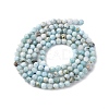 Natural Larimar Beads Strands G-F785-B01-01-3