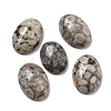 Natural Maifanite Cabochons G-C115-01A-30-1
