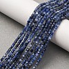 Natural Sodalite Beads Strands G-B142-C02-2x2mm-1