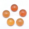 Natural Carnelian Cabochons X-G-P393-R41-10mm-1