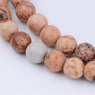 Natural Picture Jasper Beads Strands G-Q462-8mm-35-1