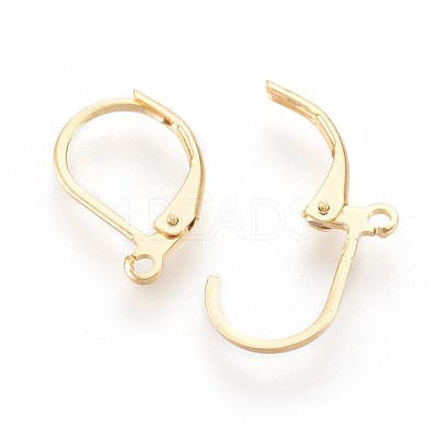 304 Stainless Steel Leverback Earrings Findings X-STAS-F188-10G-1