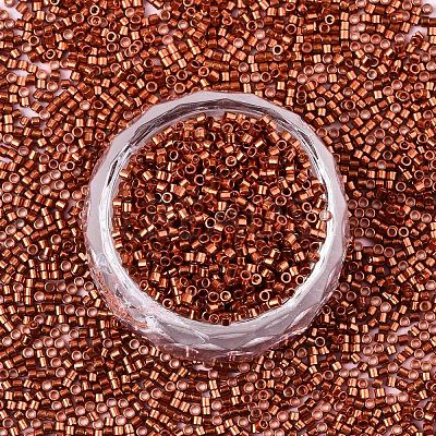 FGB 11/0 Grade A Glass Seed Beads X-SEED-S030-1210-1