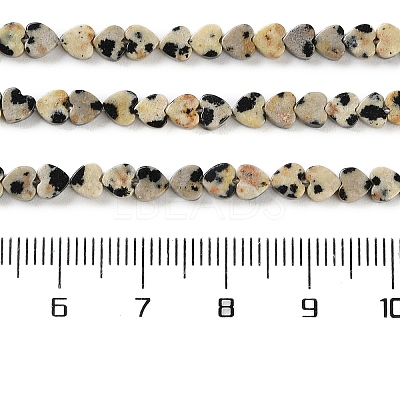 Natural Dalmatian Jasper Beads Strands G-M403-A31-01-1