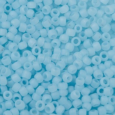 TOHO 8/0 Round Beads X-SEED-TR08-0143F-1