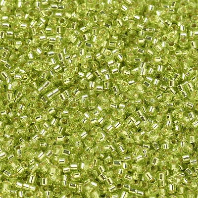 MIYUKI Delica Beads SEED-MY11-DB0147-1