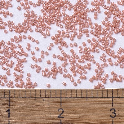 MIYUKI Delica Beads SEED-MY11-DB1363-1