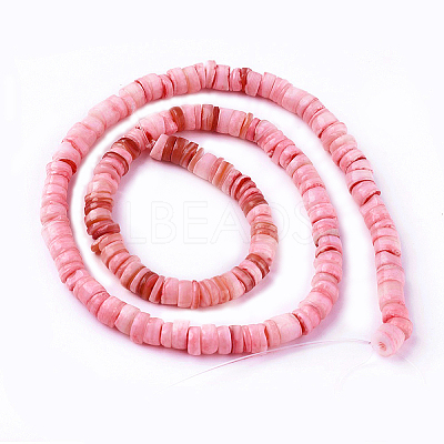 Natural Shell Beads Strands X-SSHEL-E571-49A-1