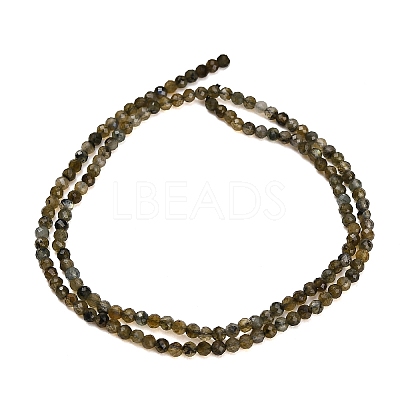 Natural Labradorite Beads Strands GG-CBA9722-A03-2mm-1