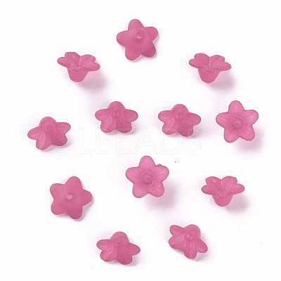 Transparent Acrylic Beads X-PL554-04-1