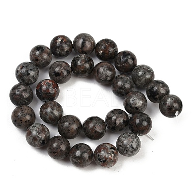 Natural Larvikite Beads Strands G-F792-C03-03-1