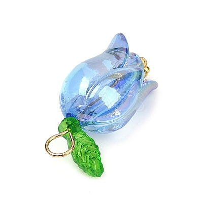 Acrylic Pendants PALLOY-JF03534-01-1