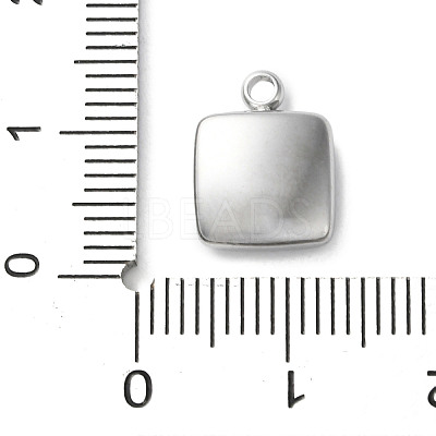 304 Stainless Steel Acrylic Pendants STAS-M091-02D-P-1
