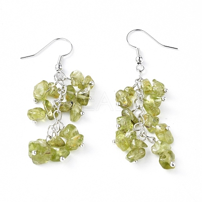 Dangle Earrings EJEW-E255-A11-1