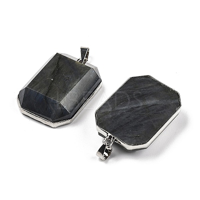 Natural Labradorite Pendants G-B139-02P-04-1