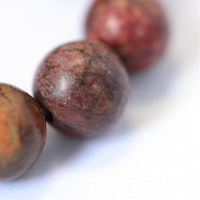 Natural Picasso Stone/Picasso Jasper Beads Strands G-E334-10mm-10-1
