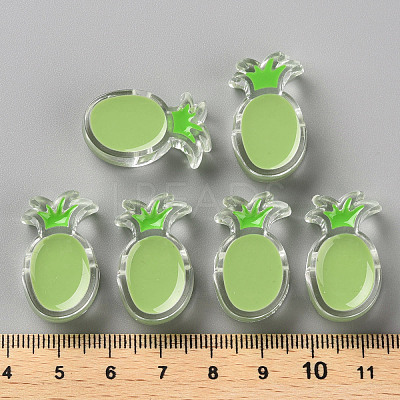 Transparent Enamel Acrylic Beads TACR-S155-002D-1