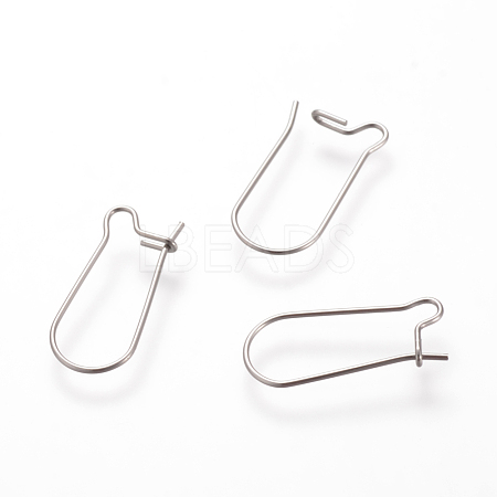 304 Stainless Steel Hoop Earrings X-STAS-T013-10-1