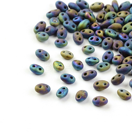 2-Hole Seed Beads GLAA-R159-M604-1