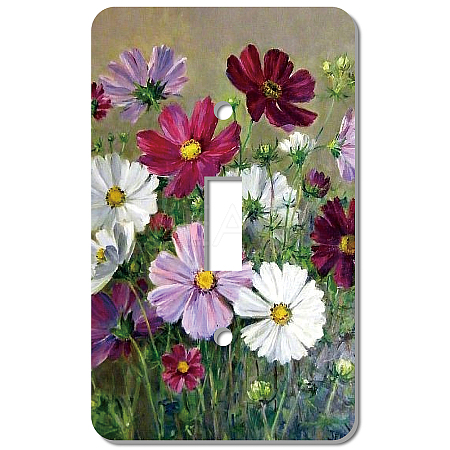 CREATCABIN 2Pcs Acrylic Light Switch Plate Outlet Covers DIY-CN0001-93J-1