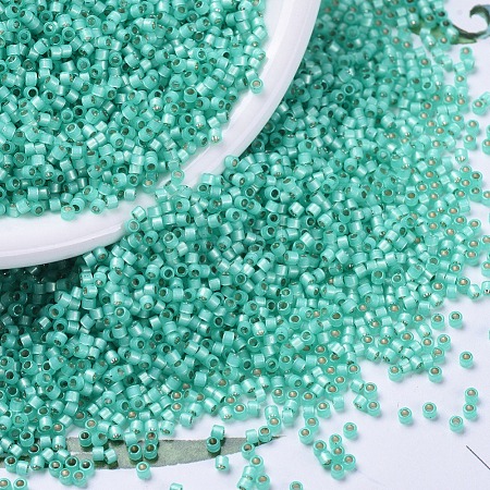 MIYUKI Delica Beads SEED-X0054-DB0627-1